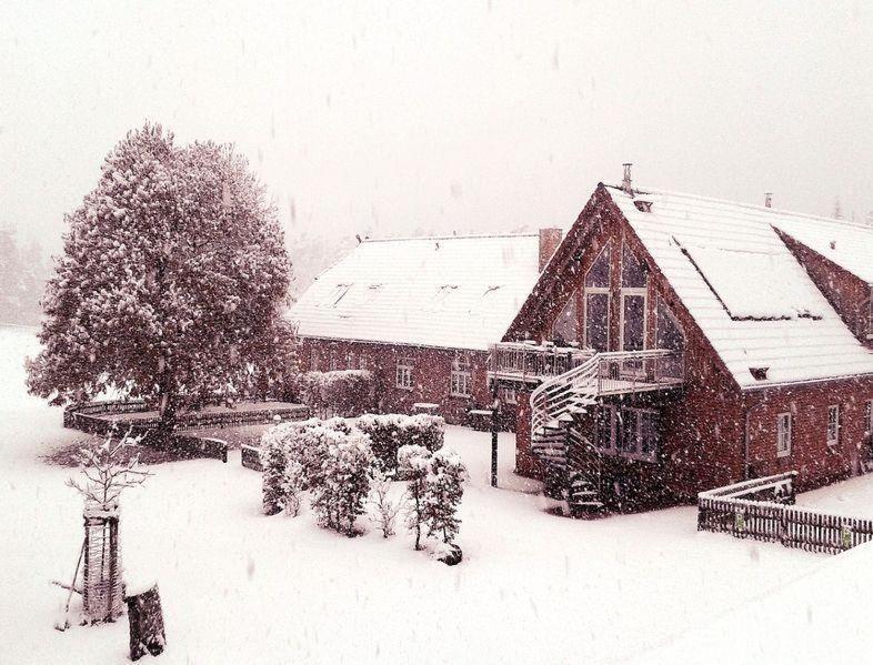 Ferienwohnung Schroederhof Unterluss Exterior foto